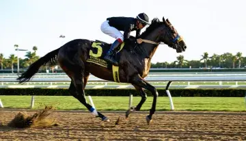 Commandment Recuperates Strongly After Florida Derby Narrow Triumph